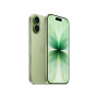Смартфон Apple iPhone 17 256GB Sage Green (Зелёный) Sim+eSim